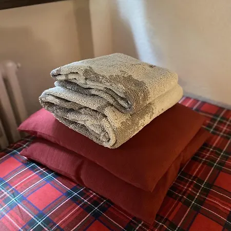 아파트 Paradise 브루일서비니아