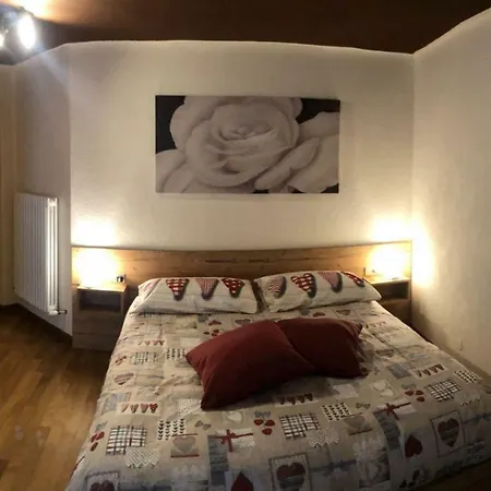 Paradise 브루일서비니아