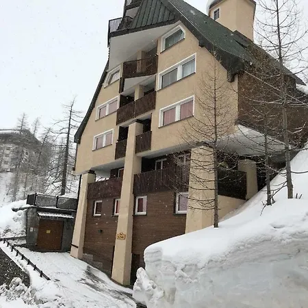 Paradise * 브루일서비니아